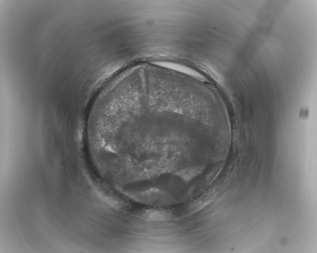 X0000093740115200711131111
