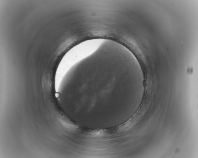 X0000093740116200711131111