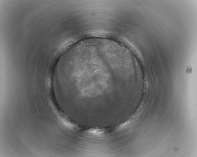 X0000093740117200711131111