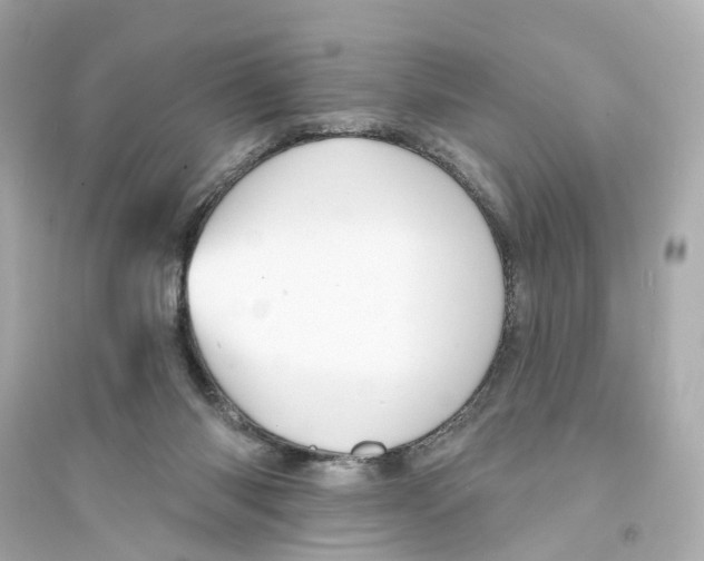 X0000093740118200711131111