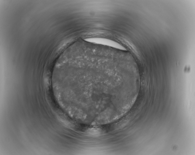 X0000093740119200711131111