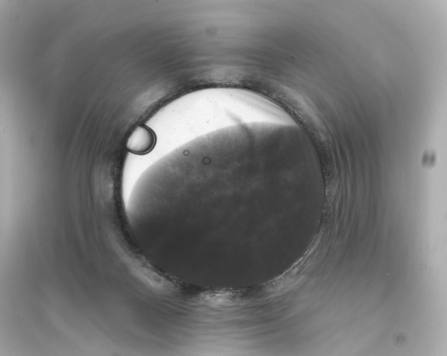 X0000093740120200711131111