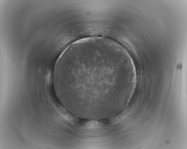 X0000093740123200711131111
