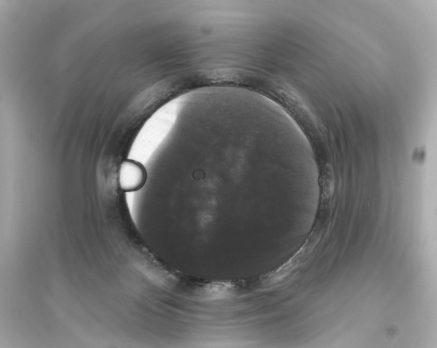 X0000093740124200711131111
