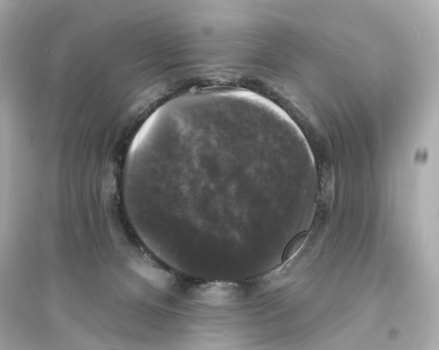 X0000093740128200711131111