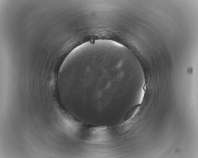 X0000093740132200711131111
