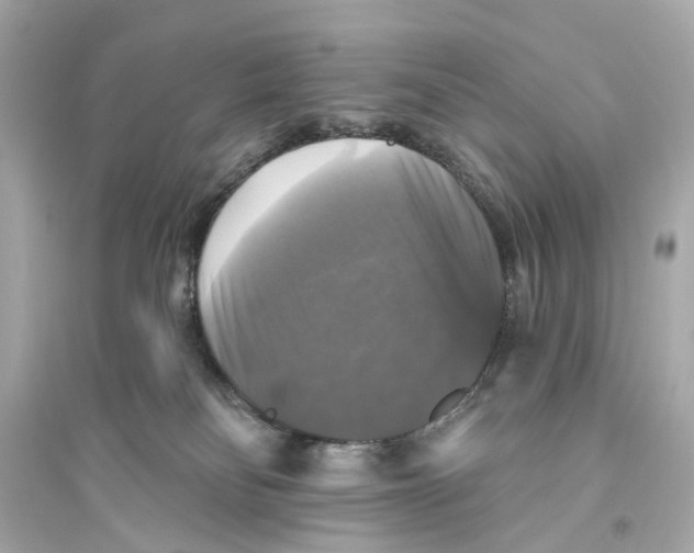 X0000093740134200711131111