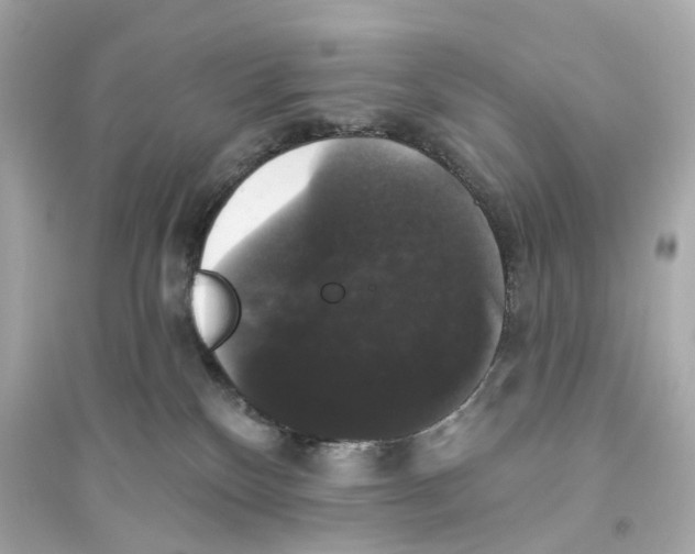 X0000093740136200711131111