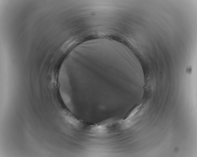 X0000093740140200711131111