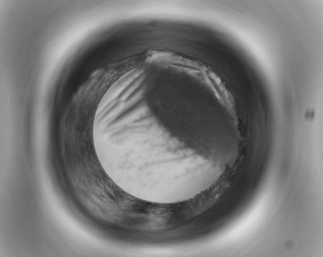 X0000093740143200711131110