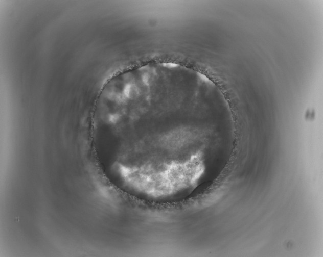 X0000093740144200711131110