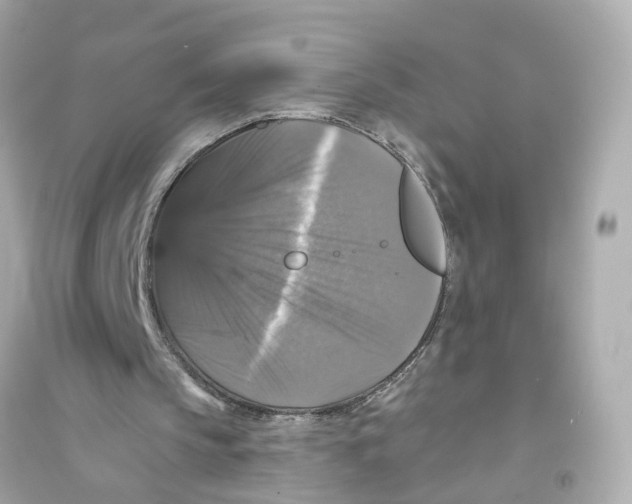 X0000093740145200711131110