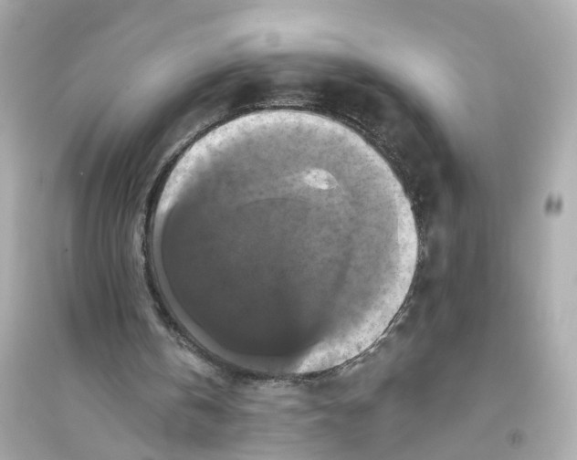 X0000093740146200711131110