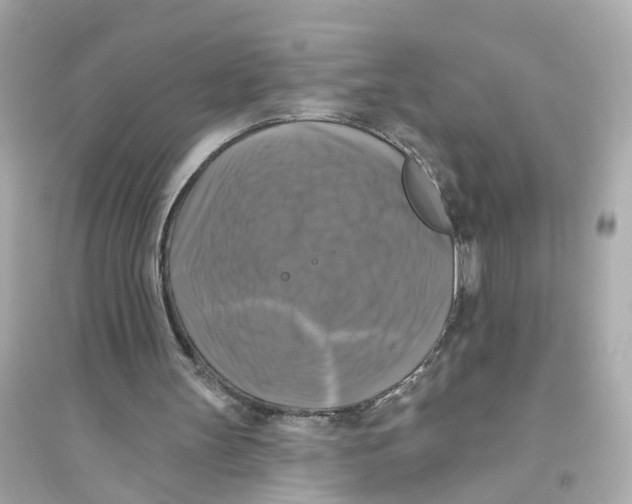 X0000093740147200711131110