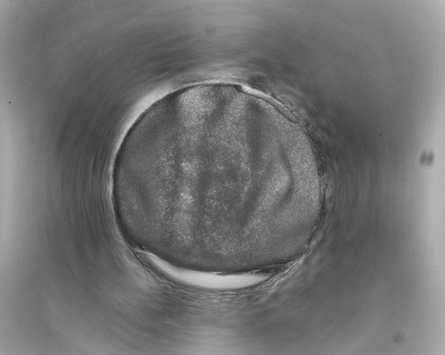 X0000093740148200711131110