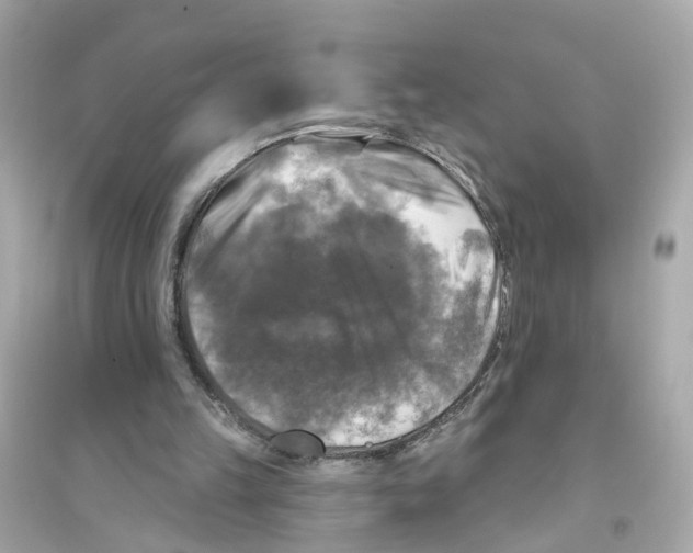 X0000093740149200711131110