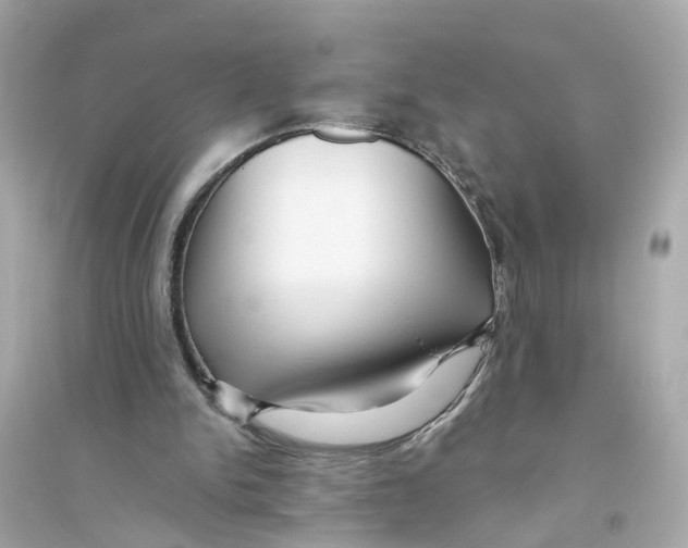 X0000093740150200711131110