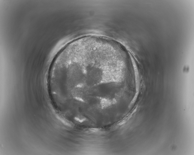 X0000093740151200711131110