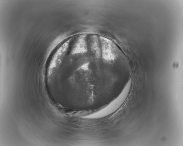 X0000093740152200711131110