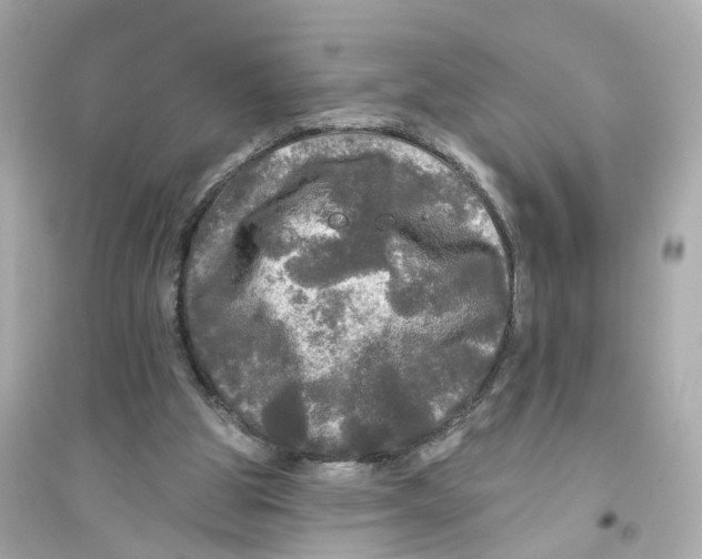 X0000093740153200711131110