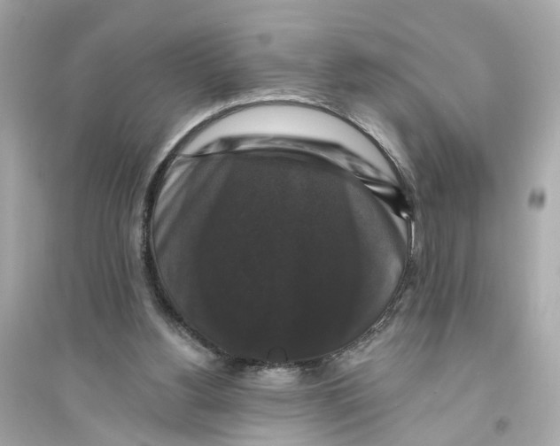 X0000093740156200711131110