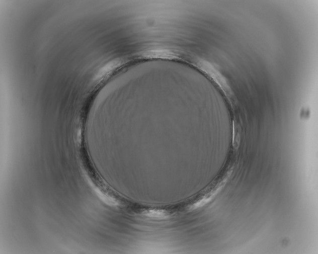 X0000093740157200711131110