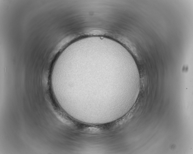 X0000093740159200711131110