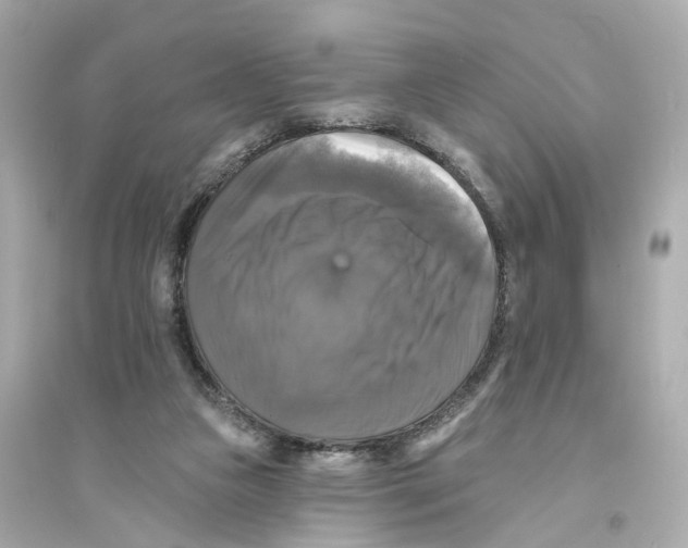 X0000093740161200711131110