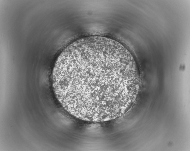 X0000093740162200711131110