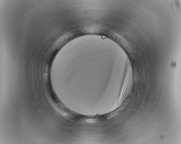 X0000093740163200711131110