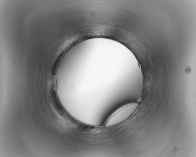 X0000093740164200711131110