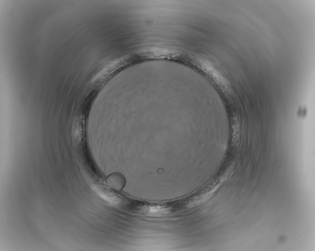 X0000093740165200711131110