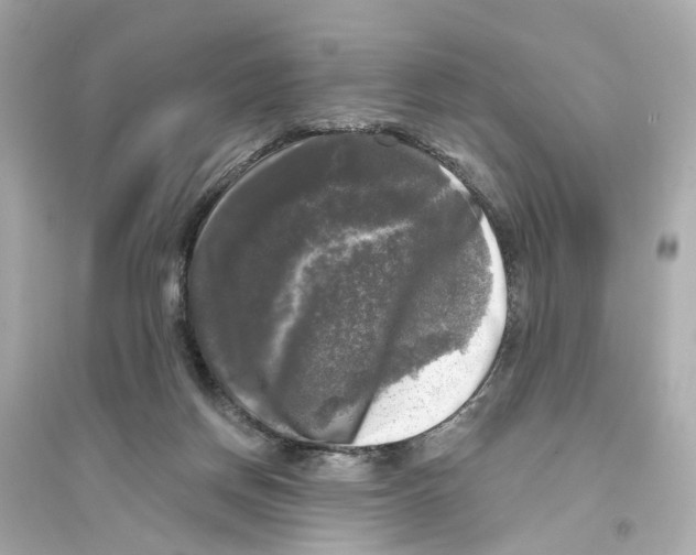 X0000093740166200711131110