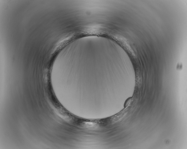 X0000093740167200711131110