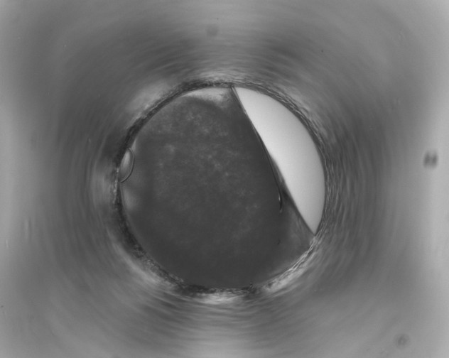 X0000093740168200711131110