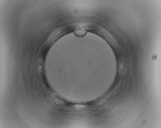 X0000093740169200711131110