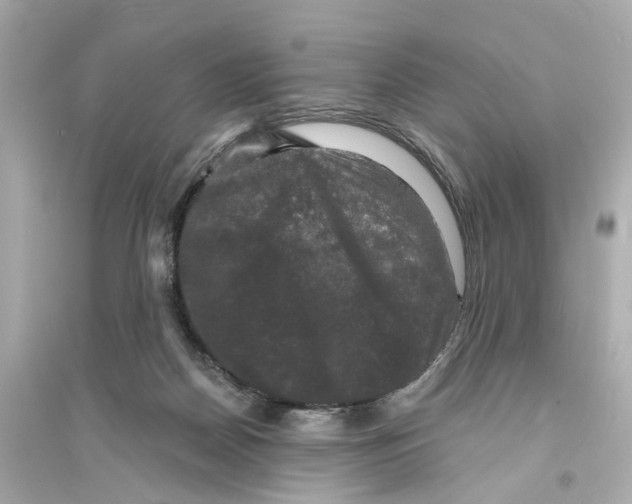 X0000093740170200711131110