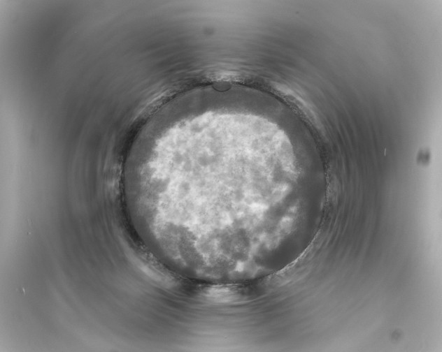 X0000093740171200711131110