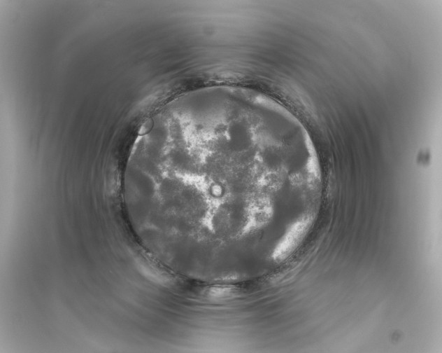 X0000093740173200711131110