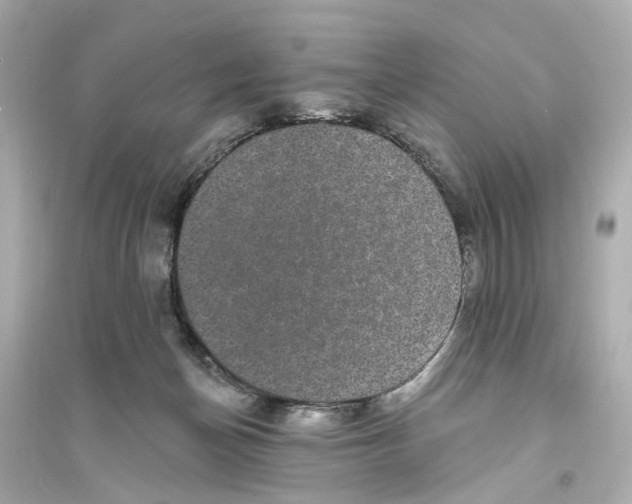 X0000093740174200711131110