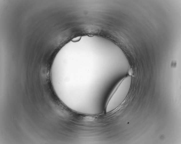 X0000093740176200711131110