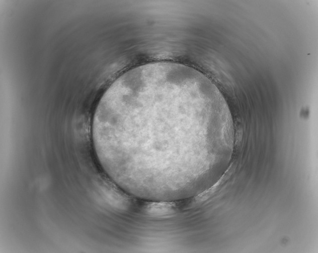 X0000093740179200711131110