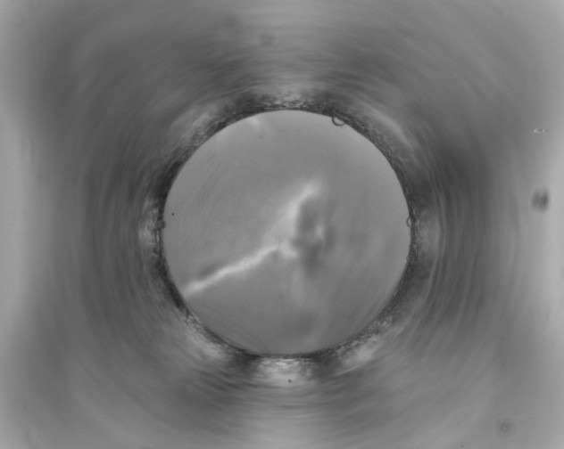 X0000093740181200711131110