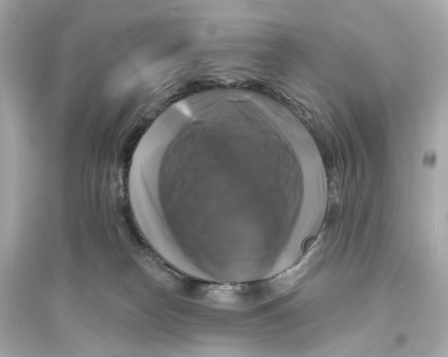 X0000093740182200711131110