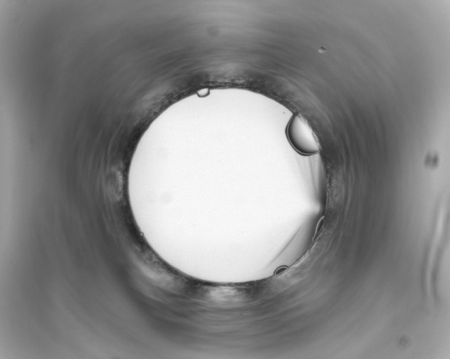 X0000093740183200711131110