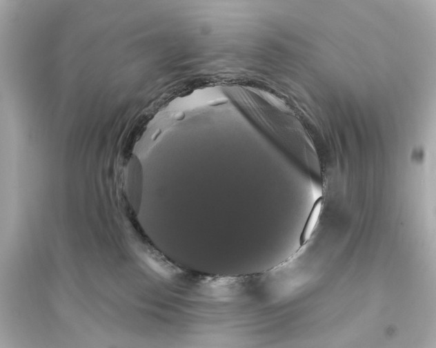 X0000093740186200711131110