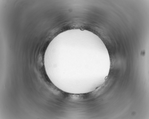 X0000093740187200711131110