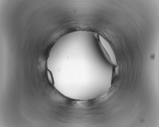 X0000093740188200711131110