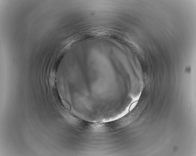 X0000093740189200711131110