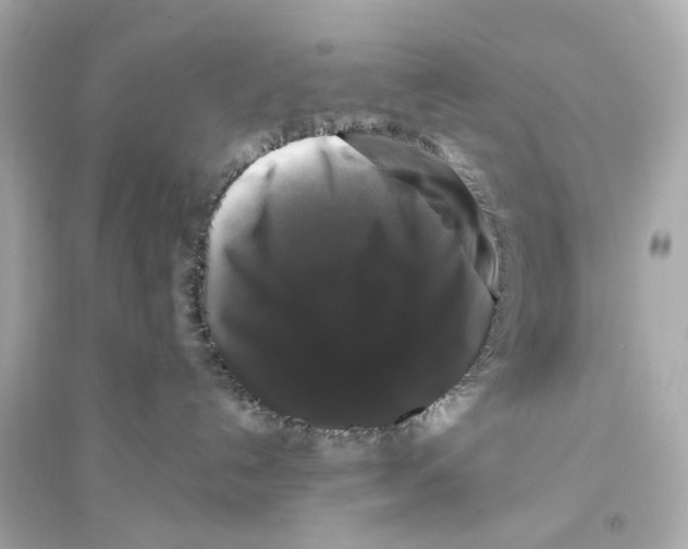 X0000093740192200711131110